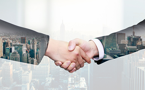 辦理公司執(zhí)照：流程、所需材料及注意事...